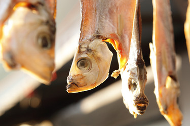 Similar image 6100188