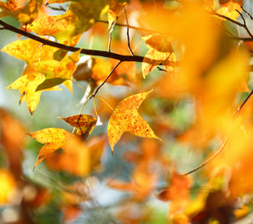 Similar image 6100199