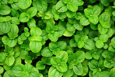 Similar image 6100221