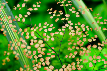 Similar image 6100245