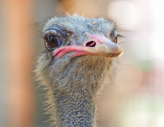 Similar image 6100249