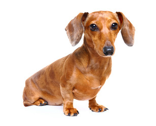 Similar image 6100277