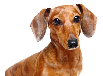 Similar image 6100278