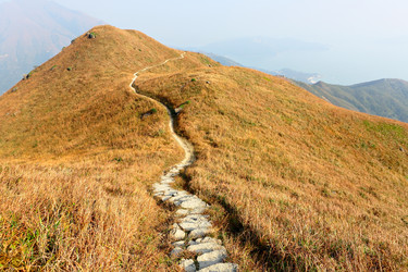 Similar image 6100303