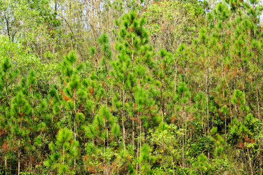 Similar image 6100307