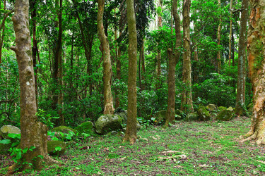 Similar image 6100318