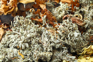 Similar image 6100363