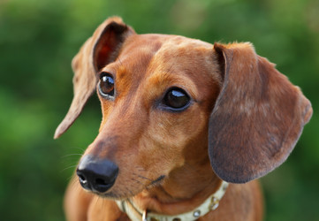 Similar image 6100391