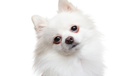 Similar image 6100605