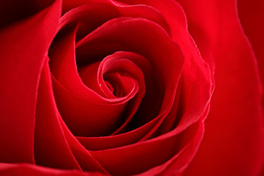 Similar image 6100641