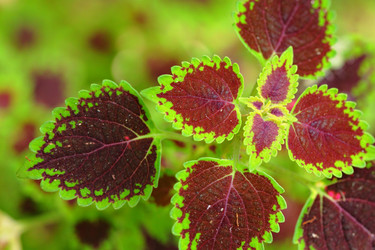 Similar image 6100671