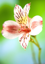 Similar image 6100774