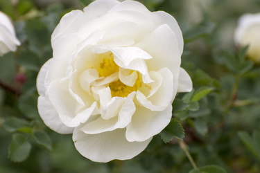 Similar image 6100813