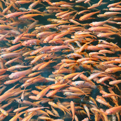 Similar image 6100842