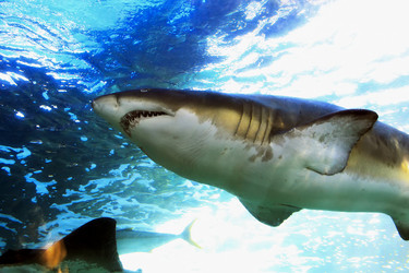 Similar image 6100850