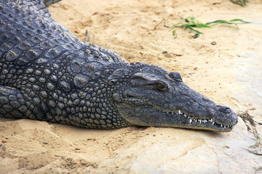 Similar image 6100851