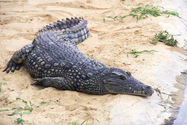 Similar image 6100852