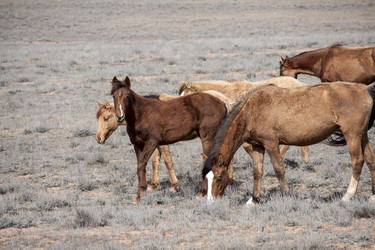 Similar image 6100924