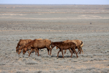 Similar image 6100925