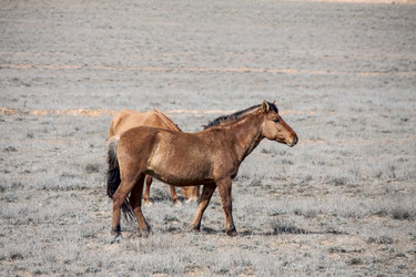 Similar image 6100927