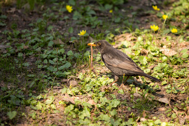 Similar image 6101015