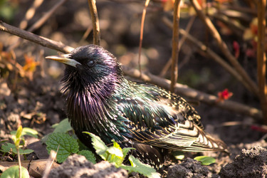 Similar image 6101017