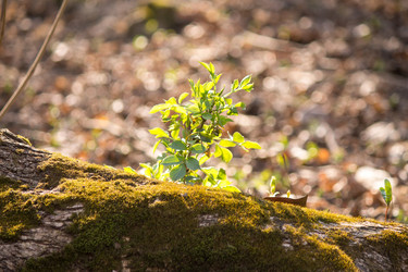 Similar image 6101021