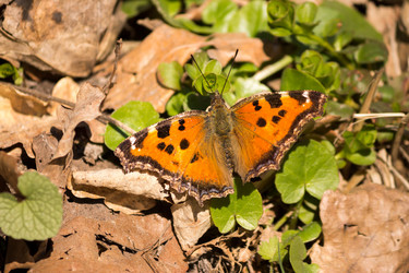 Similar image 6101022