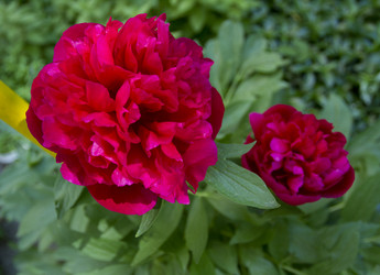 Similar image 6101023