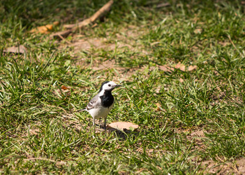 Similar image 6101024