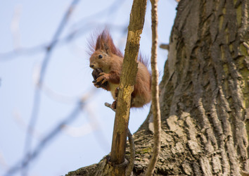 Similar image 6101026