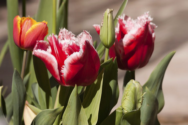 Similar image 6101028