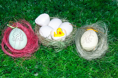 Similar image 6101035