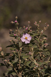 Similar image 6101038