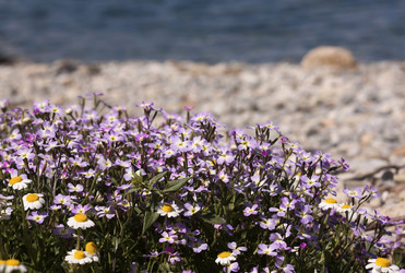 Similar image 6101044