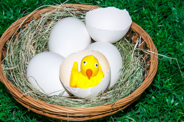 Similar image 6101046