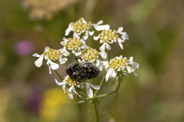 Similar image 6101047