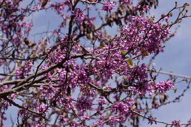 Similar image 6101049