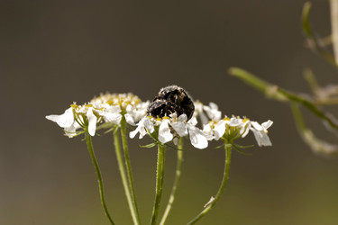 Similar image 6101051