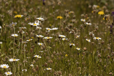 Similar image 6101052