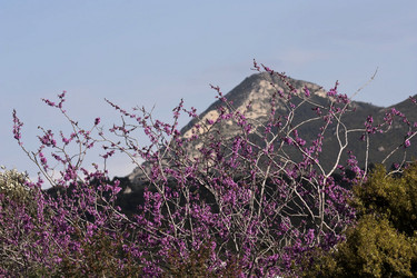 Similar image 6101054