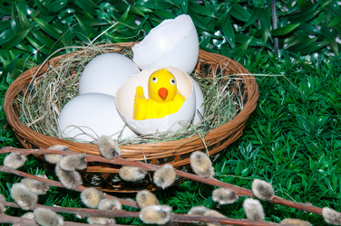 Similar image 6101055