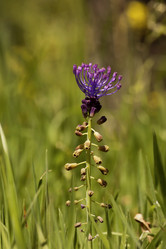 Similar image 6101056