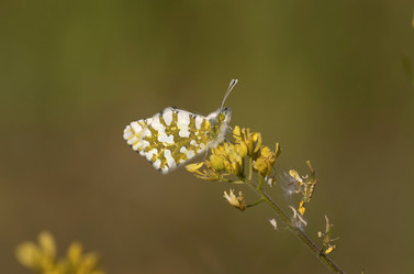 Similar image 6101058