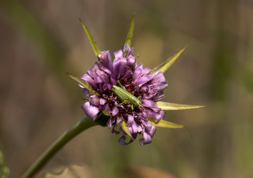 Similar image 6101060