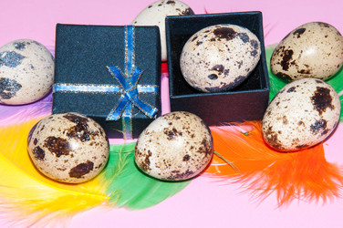 Similar image 6101067