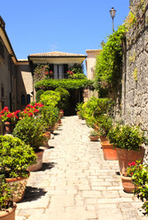 Similar image 6101129