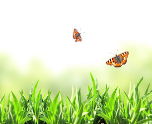 Similar image 6101146