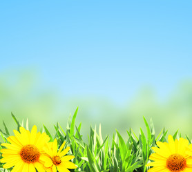 Similar image 6101147