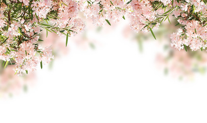 Similar image 6101154